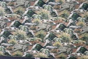 Rocks and Grass - Green