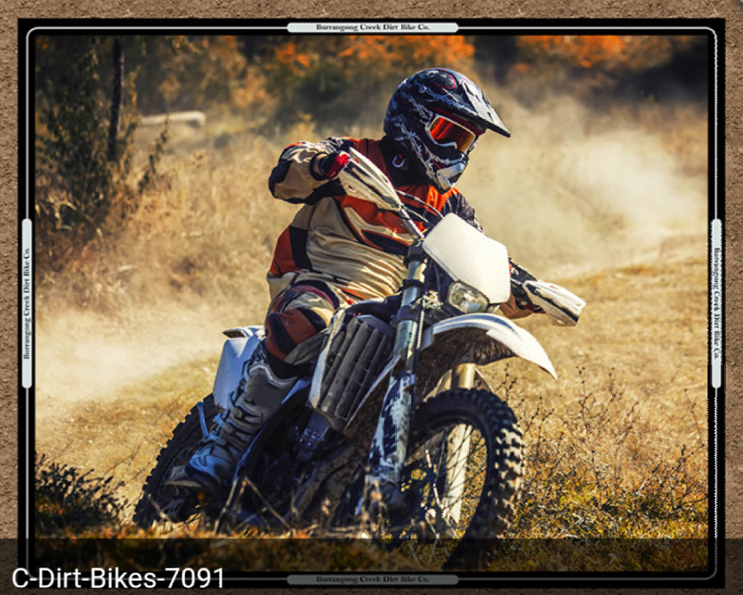 Dirt Bikes Panel C - on Special 50% OFF