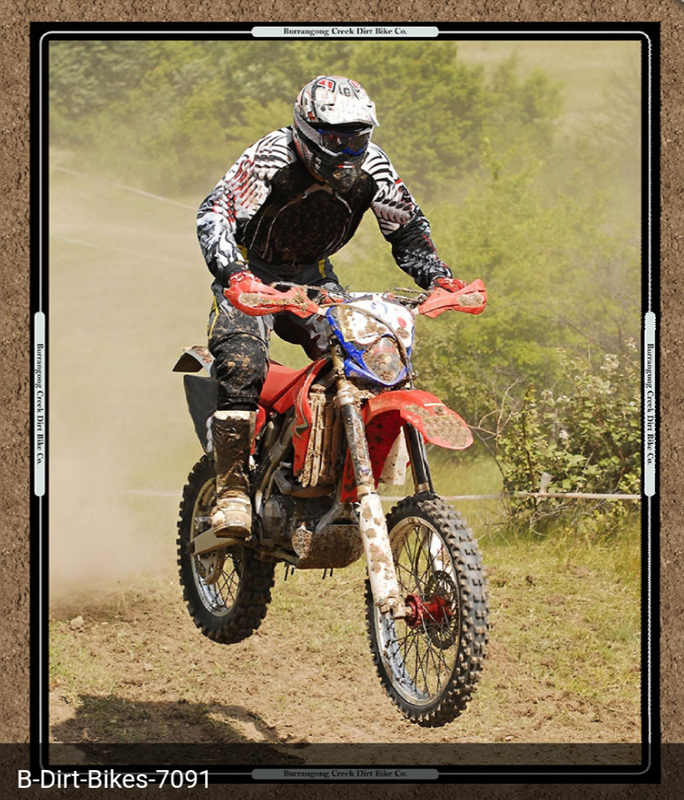 Dirt Bikes Collage Panel B - on Special 50% OFF