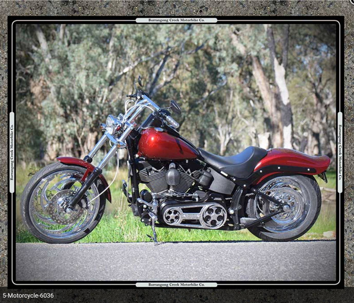 Motor Bike Red Bike in Bush Panel usually $28