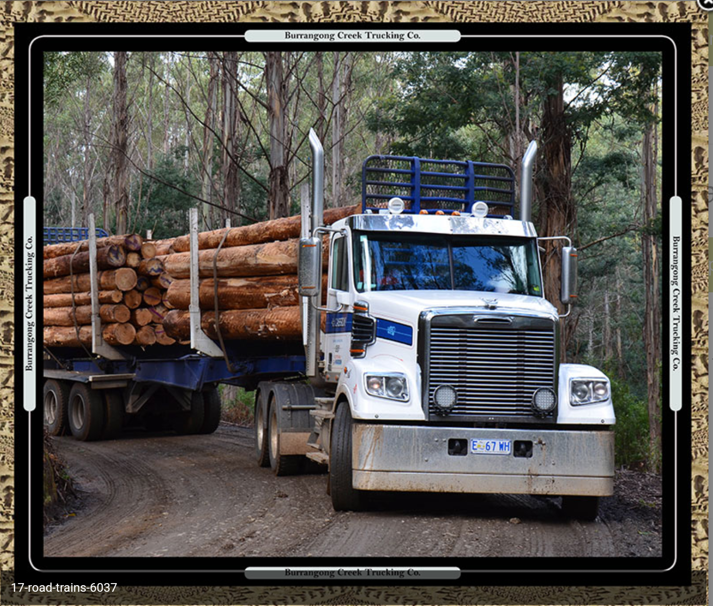 Road Train Panel - Logger - on Special 50% OFF