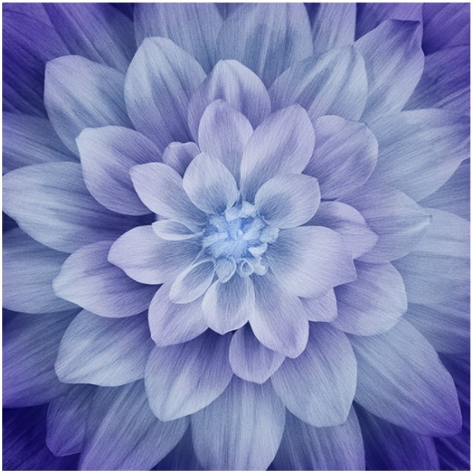 Dream Big Hydrangea Panel