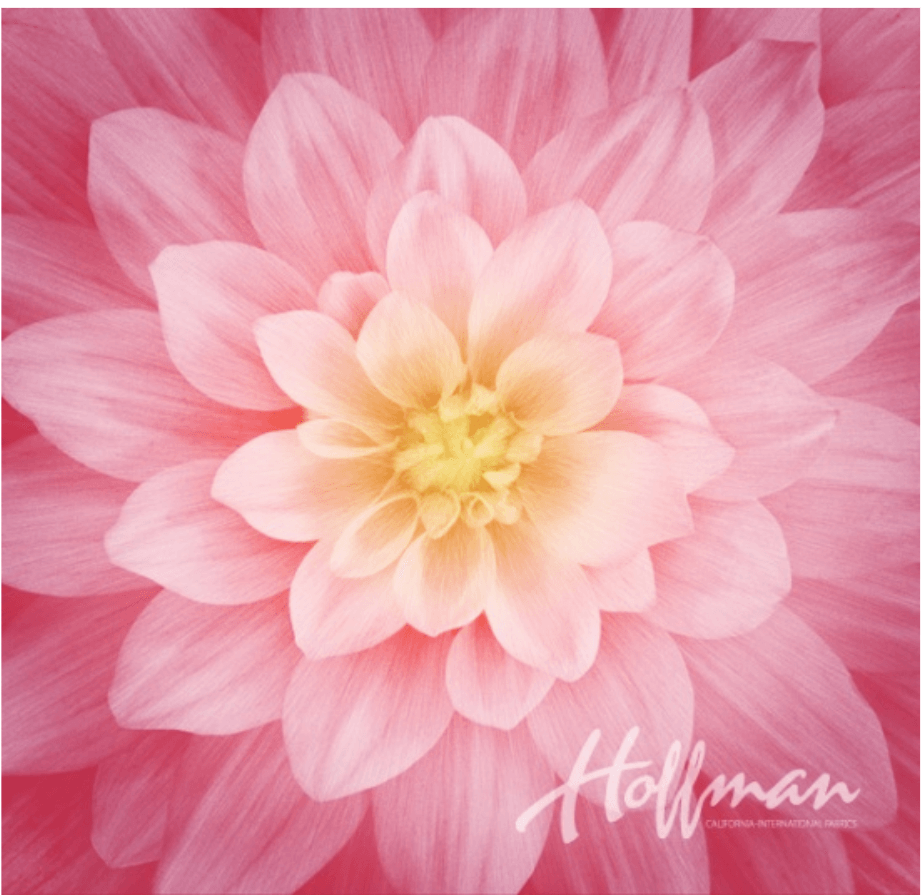 Dream Big Wild Rose Panel