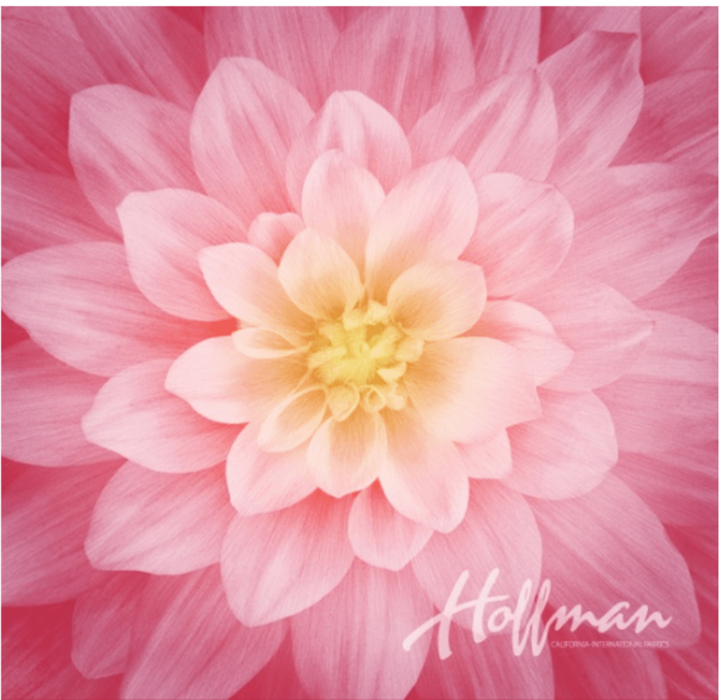 Dream Big Wild Rose Panel