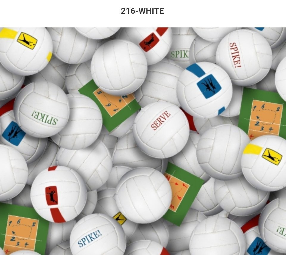 ES216 - Volleyballs
