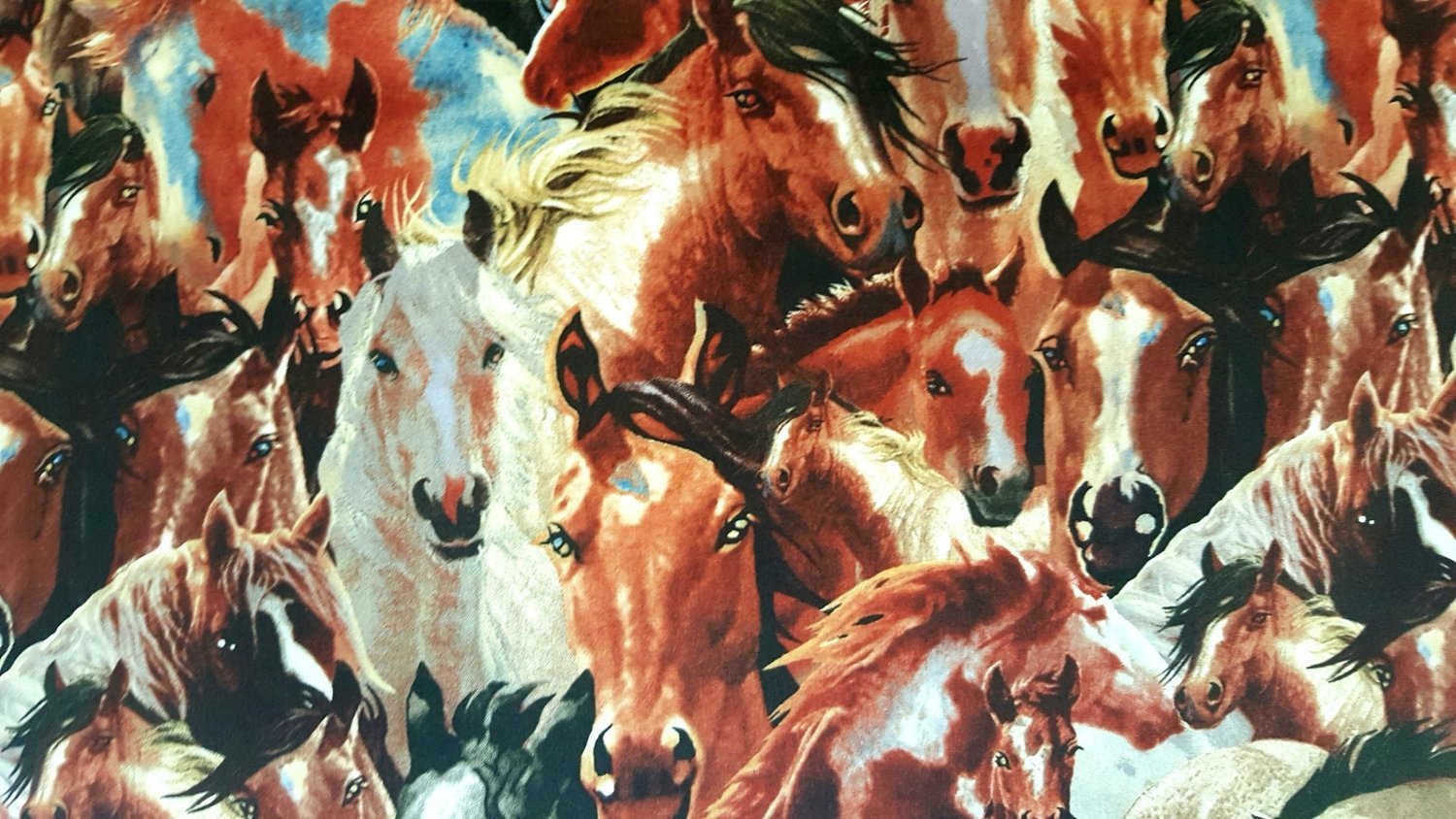 Wild in Bloom Packed Horses