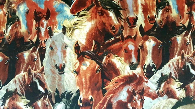 Wild in Bloom Packed Horses