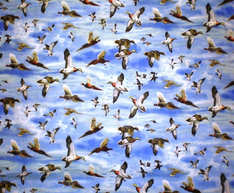 Wild Ducks Sky