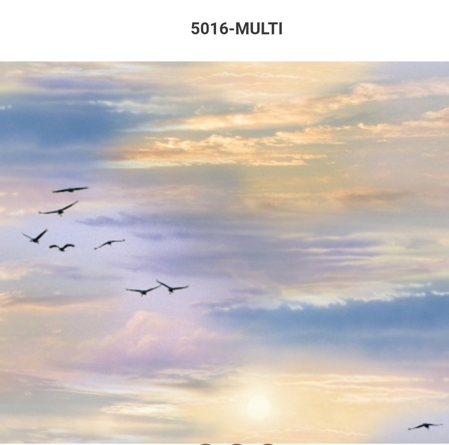 ES5016 - Birds flying in the dawn sky