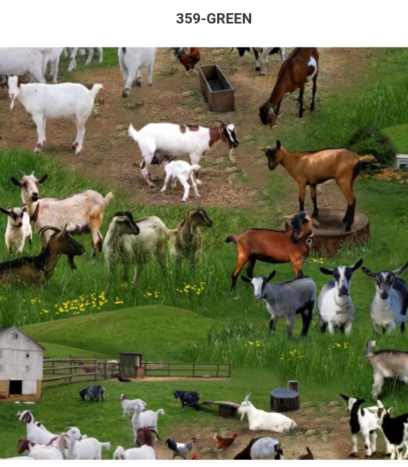 ES359 - Goats