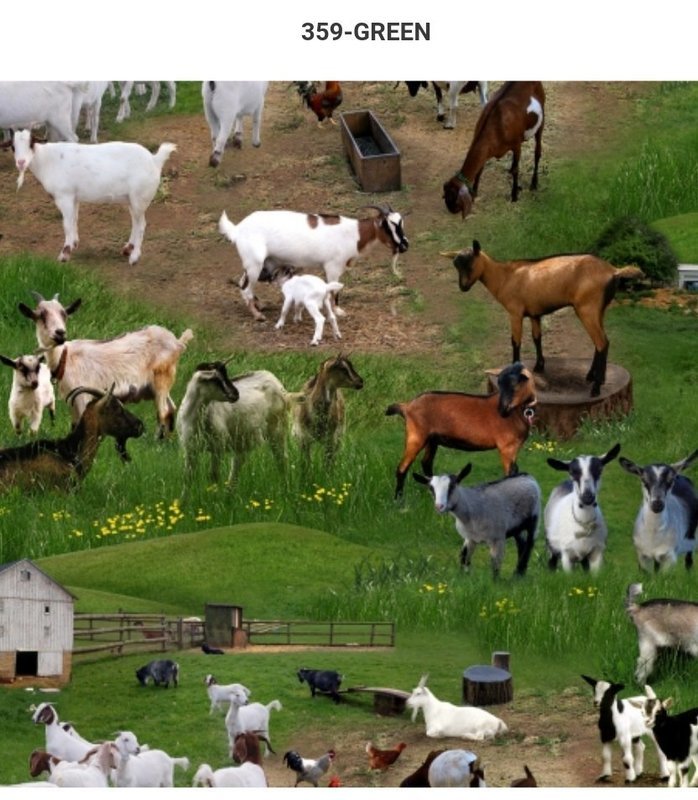 ES359 - Goats