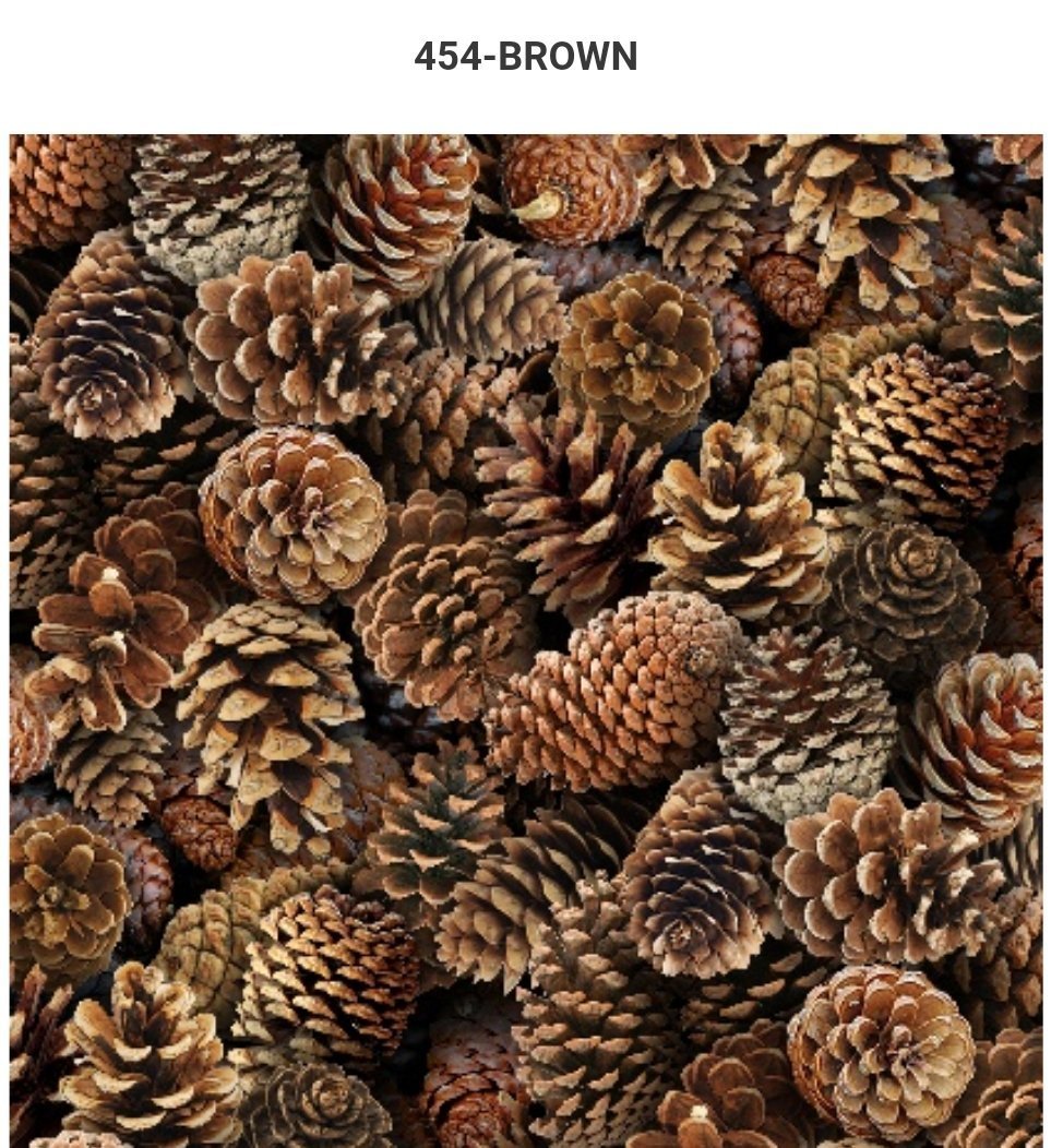ES454 -Pinecones