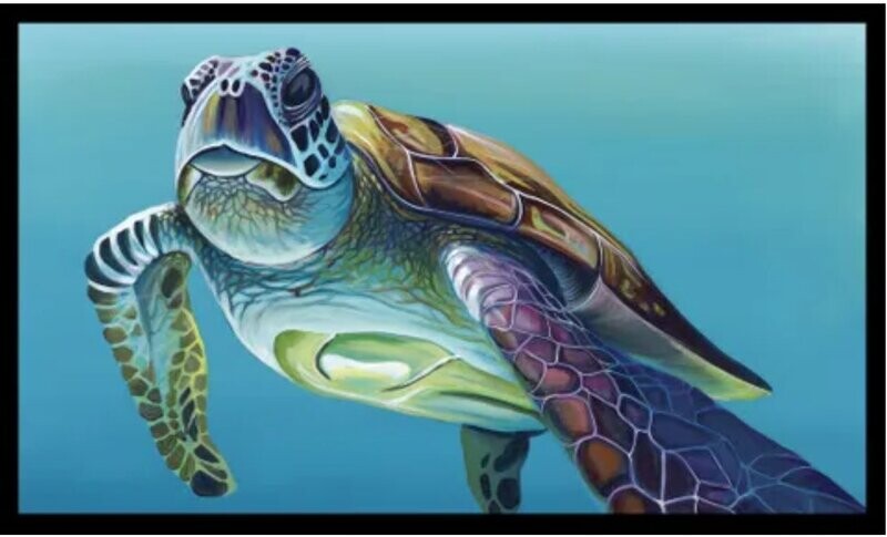 Chris Riley Art DV3916  Single Turtle Landscaspe Panel