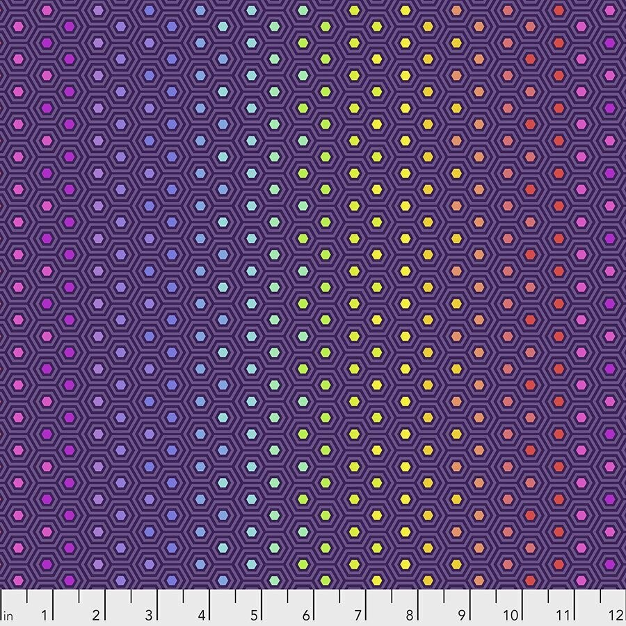Tula Pink True Colors Hexie PWTP151.STARLING