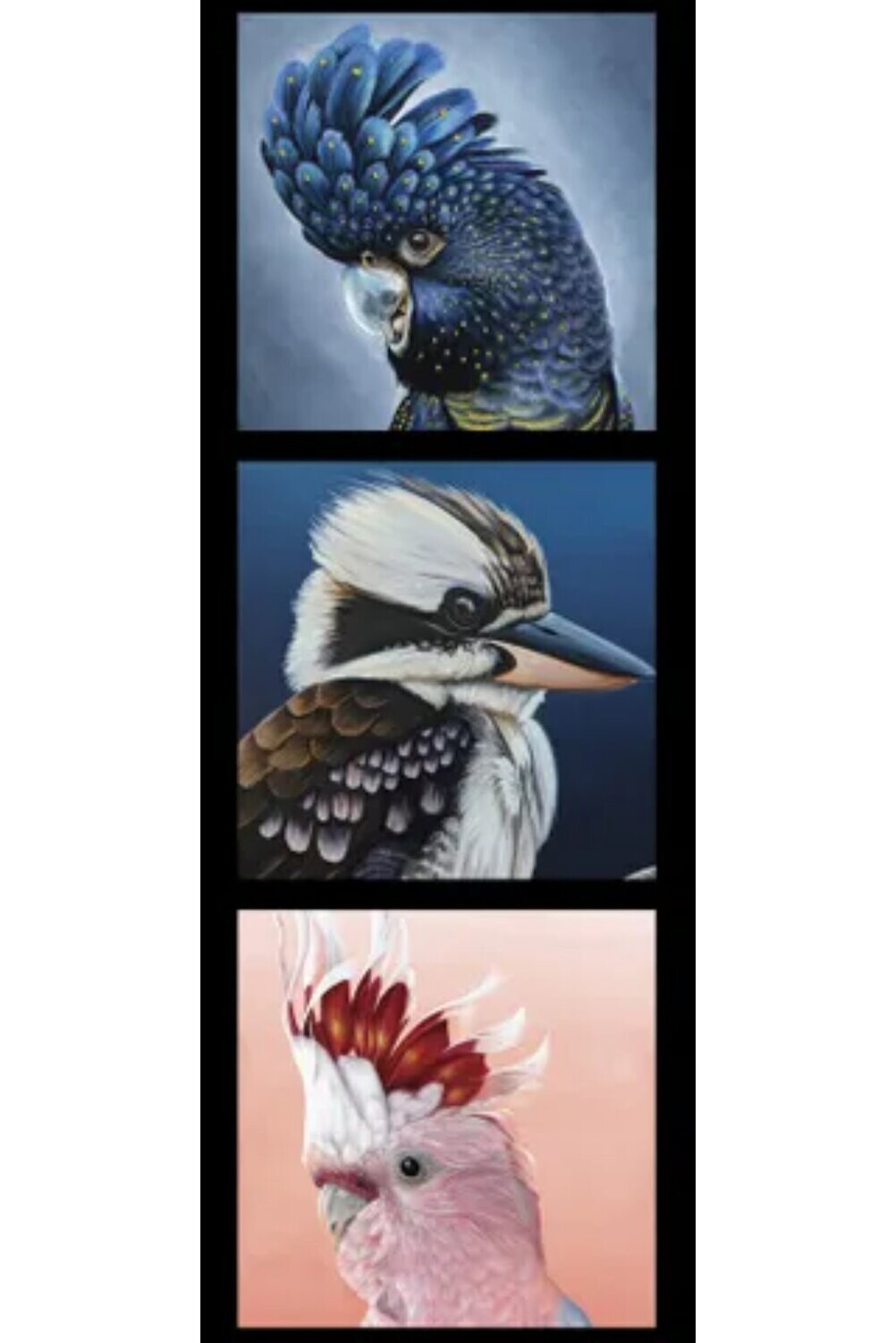 Chris Riley Art DV3914 Tri Block Black Cockatoo, Kookaburra, Galah Panel