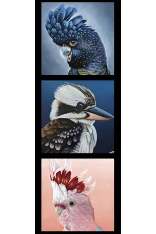 Chris Riley Art DV3914 Tri Block Black Cockatoo, Kookaburra, Galah Panel
