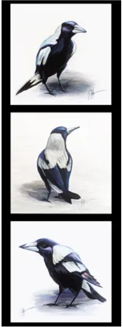 Chris Riley Art DV3911 Tri Block Magpie Panel