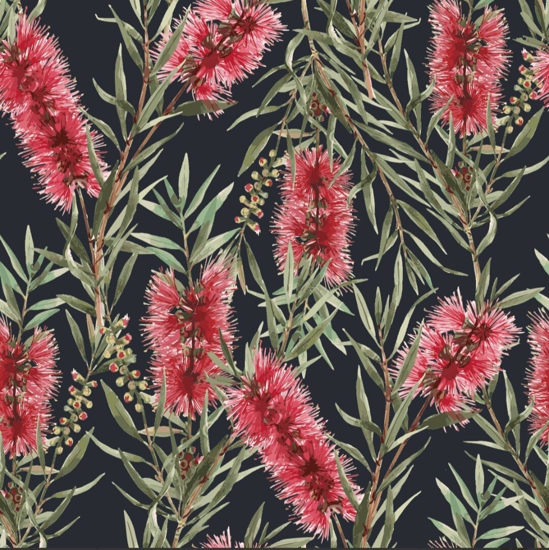 Callistemon allover on Black 108" Backing Fabric (Red Bottlebrush)