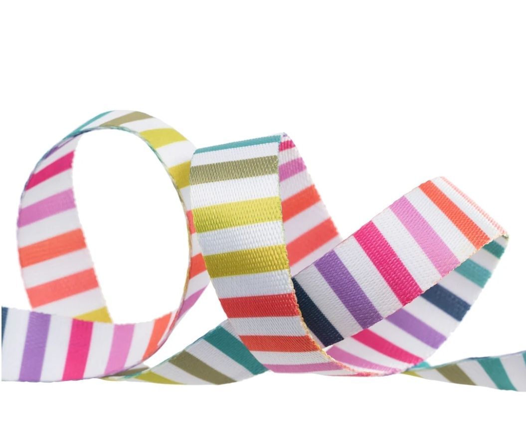 Tula Pink Tabby Road Disco Stripe White 1 inch wide WEBBING by the metre