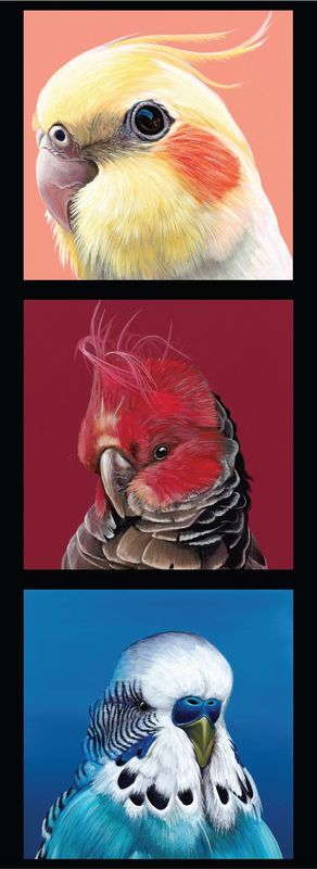 Chris Riley Art DV3951 Tri Block Corella, Gang Gang, Budgerigar