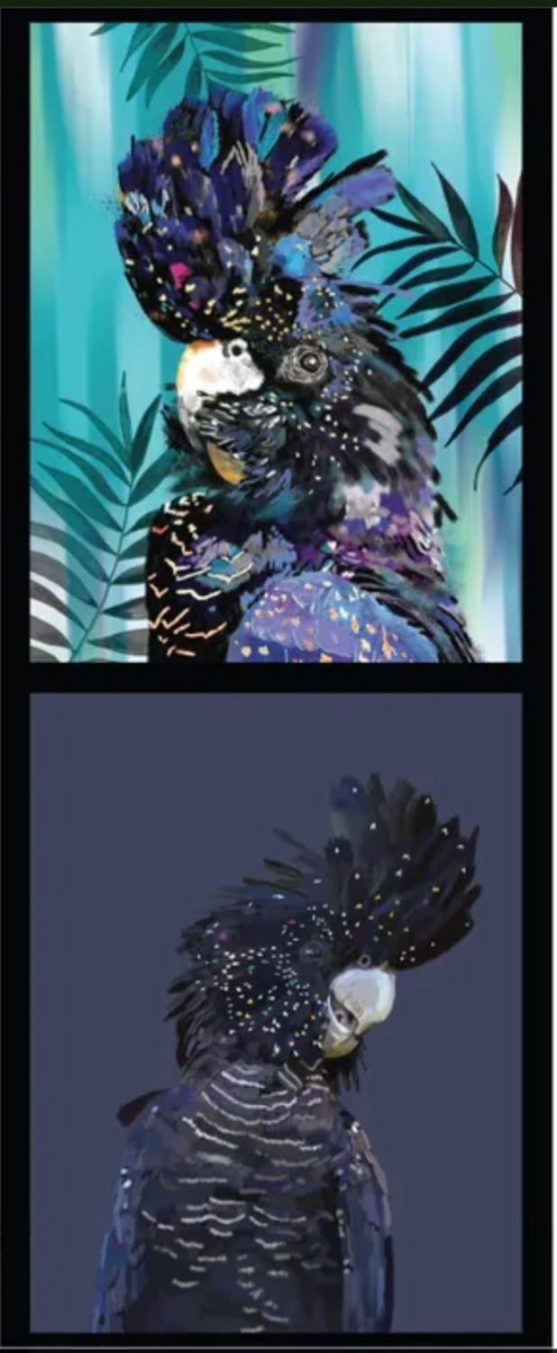 Karin Roberts Collection DV3477 Double Block Black Cockatoo