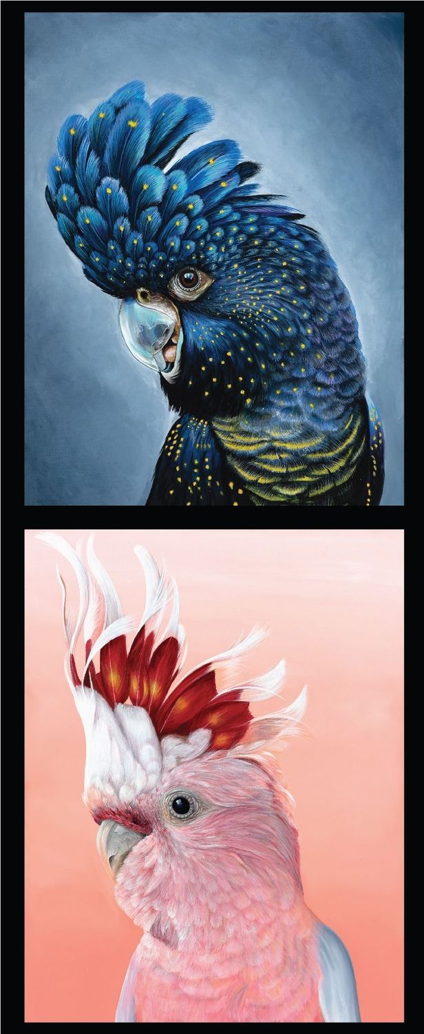 Chris Riley Art DV3953 Double Block Black and Major Mitchell Cockatoo