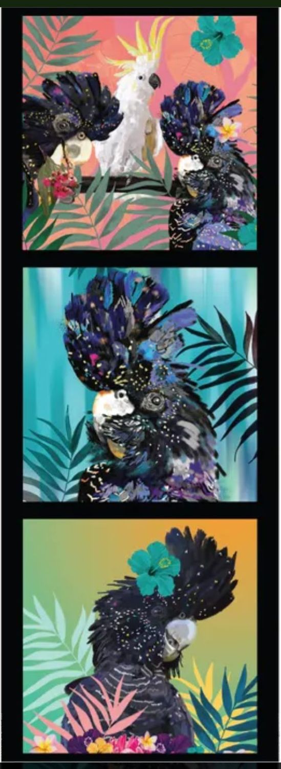 Karin Roberts Collection DV3475 Tri Block Black Cockatoos
