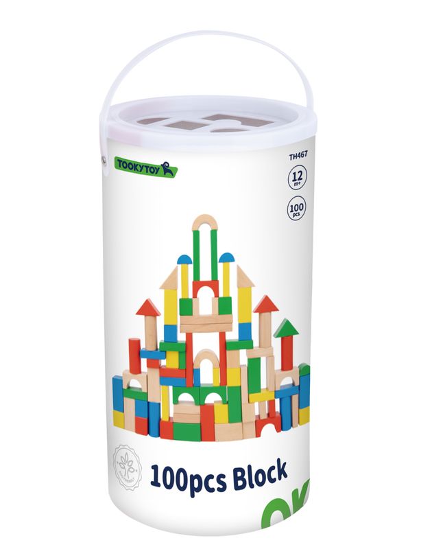 Bloques de Construcción Set Clásico Multicolor 100 piezas