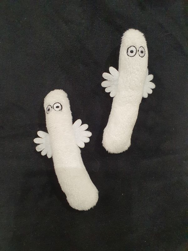 Pluszaki