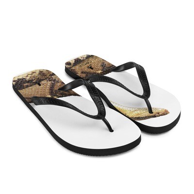 Flip-Flops Lachesis stenoprhys