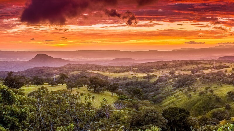 NORHT PACIFIC / Night Herping (Dry forest).
