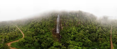 UVITA / Night Herping Tour (Rainforest and streams)