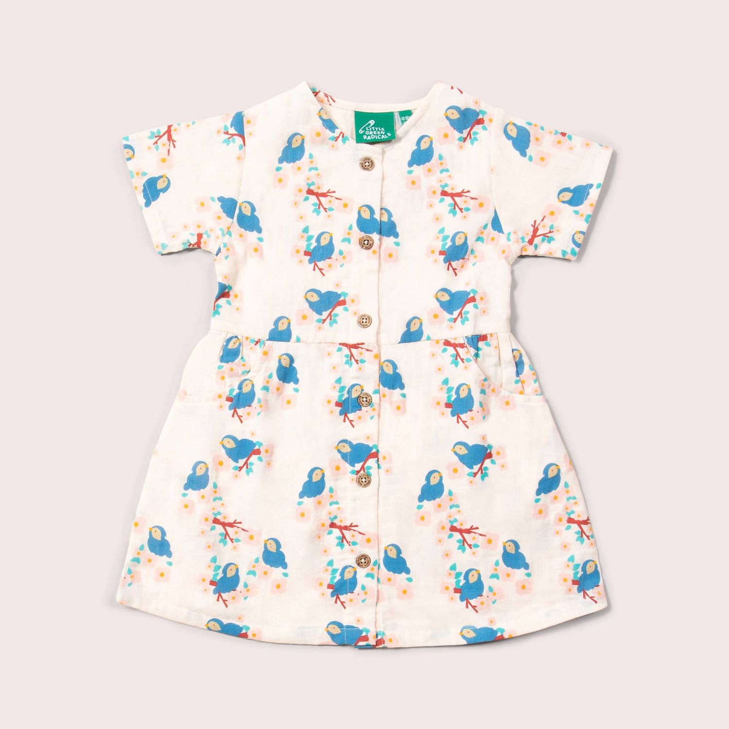 Bluebirds Button Dress, Size: 5-6Y