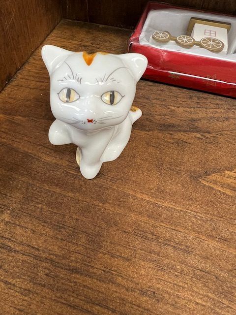 Anime Kitty