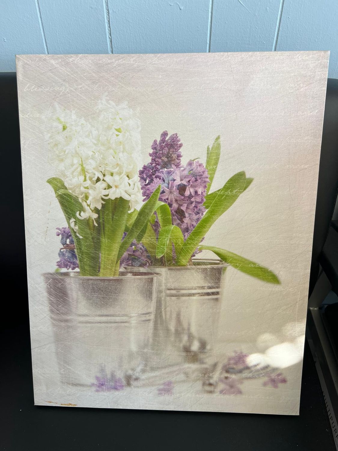 Purple and White Hyacinths Print on Canvas with an aged vintage look