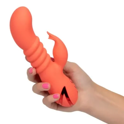 California DreamingÂ® Condado de Orange Cutie