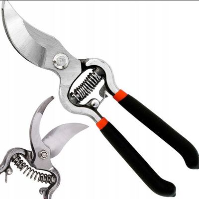 Pruning Shears 8"