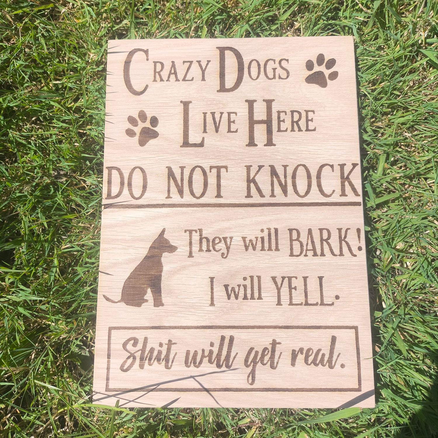 Crazy dogs