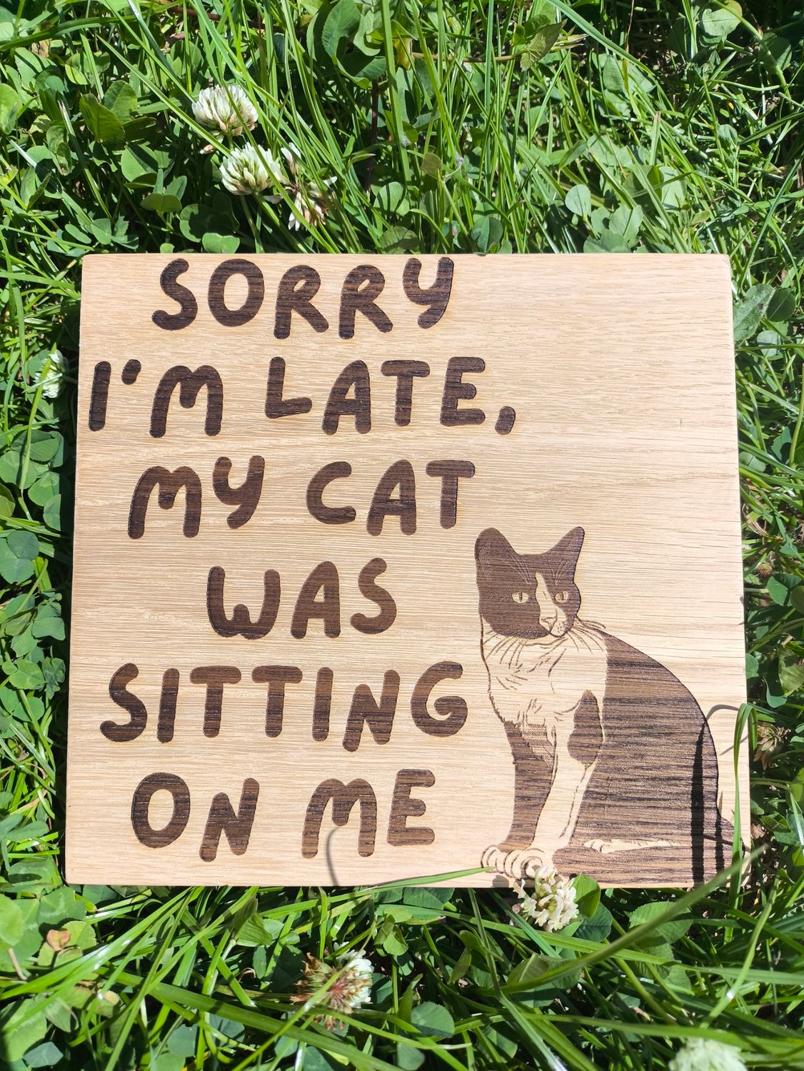 Cat sitting