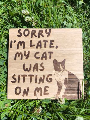 Cat sitting