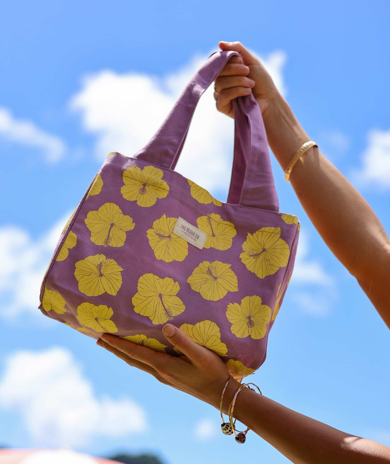 Tag Aloha Co. Hibiscus Lemonade - Organic Mini Bag