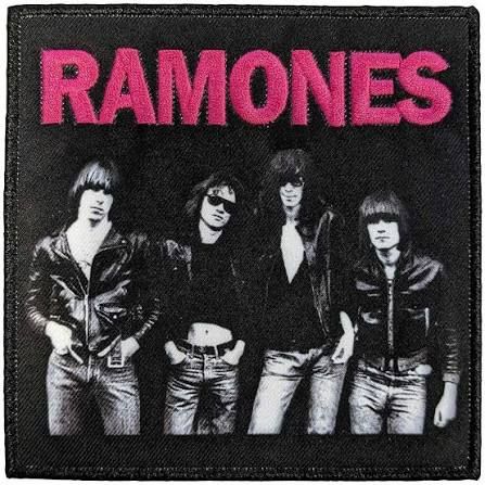 Standard Patch Band Photo