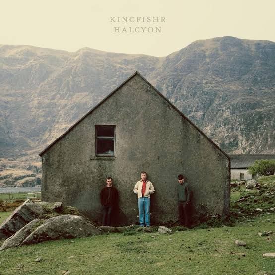 Kingfshr / Halcyon
