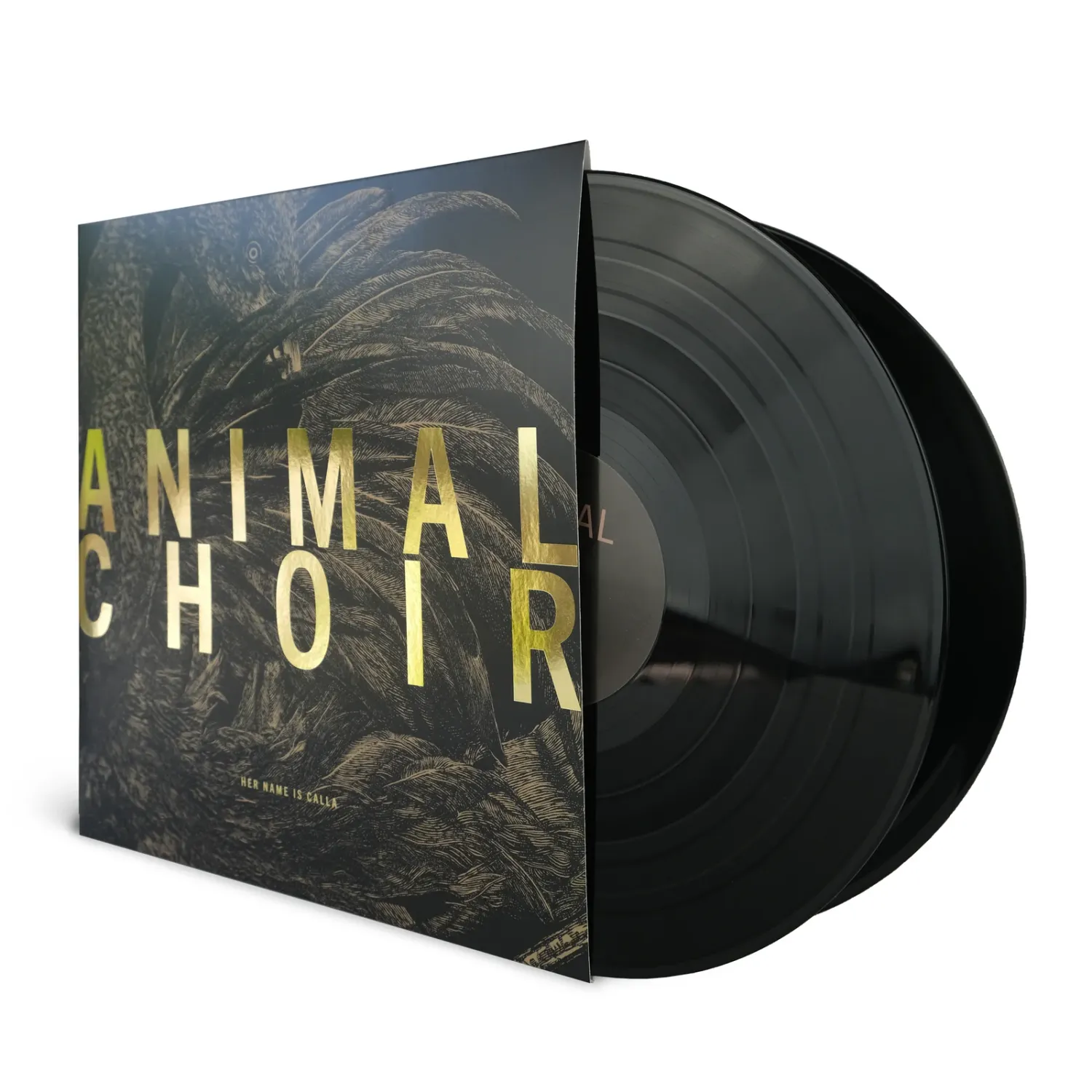 Her Name Is Calla - Animal Choir