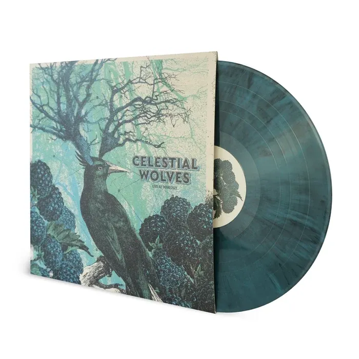 Celestial Wolves - Live @Dunk 2021