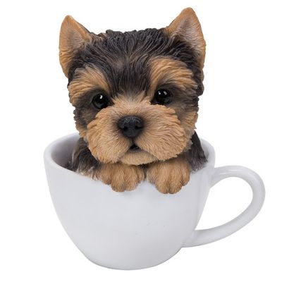 Cats &amp; Dogs