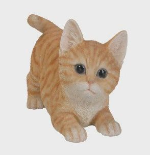 PA0100-Kitty Fig : LG