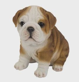 PA0096-Bulldog Fig : LG