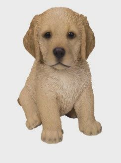 PA0097-Puppy Fig : LG