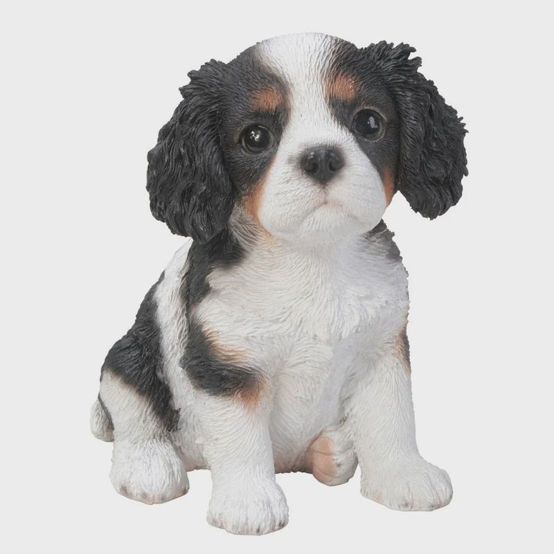 PA0076-Puppy Fig : LG